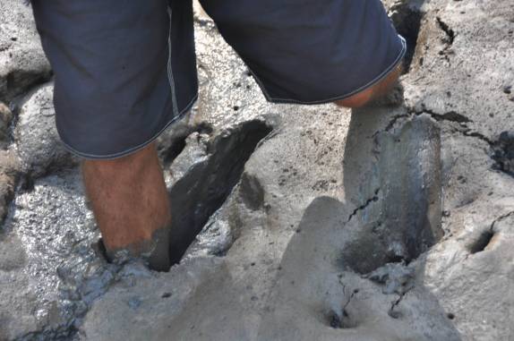 Caminhando na lama de mangue no Delta do Parnaíba, na fronteira dos estados do Piauí e Maranhão